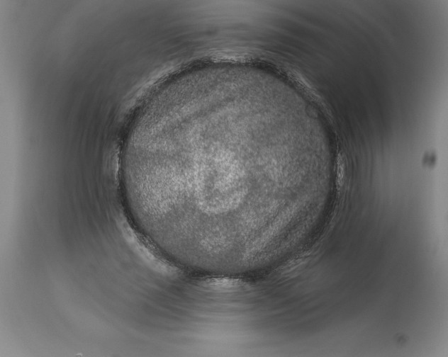 X0000113630637200910021853