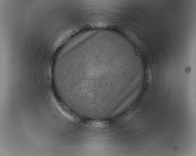 X0000113630638200910021853