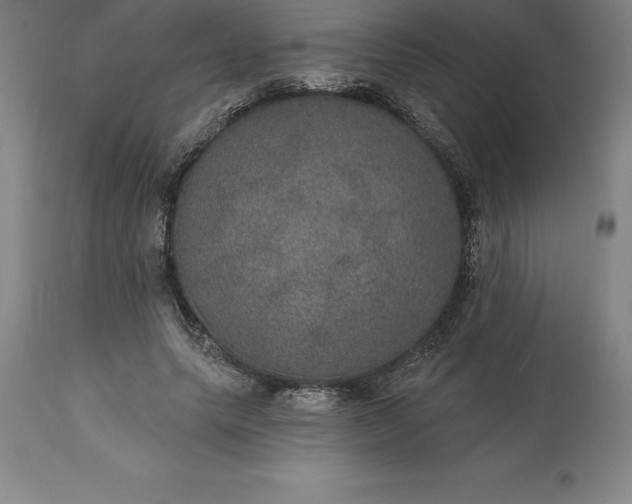 X0000113630639200910021853