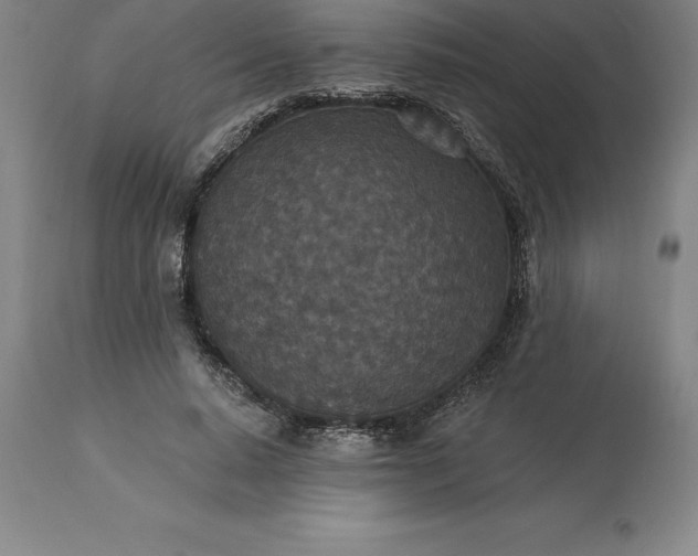X0000113630640200910021853