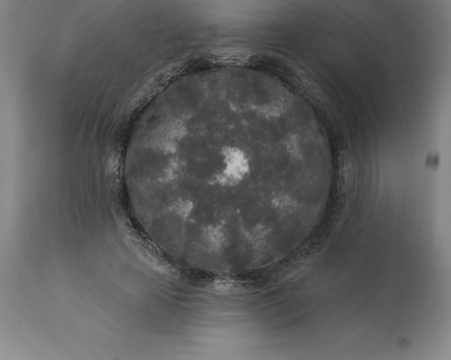 X0000113630641200910021853