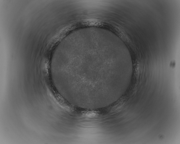 X0000113630643200910021853