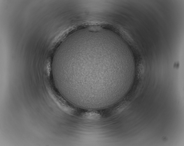 X0000113630644200910021853