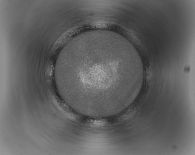 X0000113630645200910021853