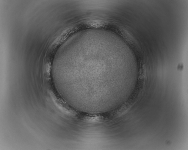 X0000113630646200910021853