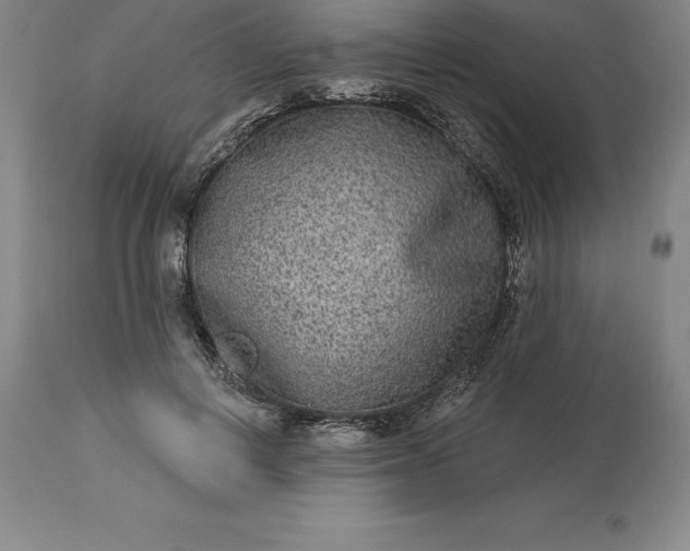 X0000113630648200910021853
