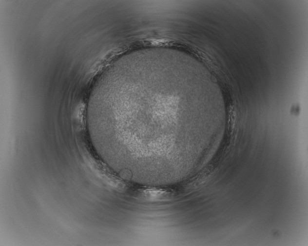 X0000113630650200910021853