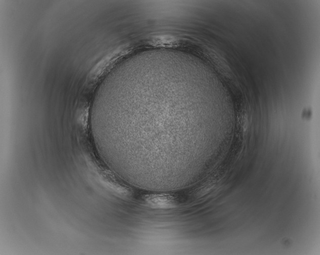 X0000113630652200910021853