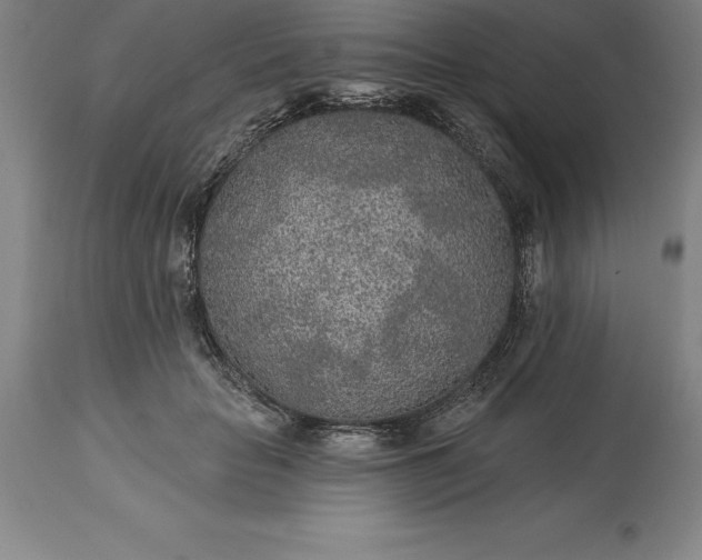 X0000113630653200910021853