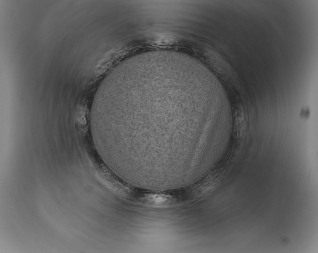 X0000113630654200910021853