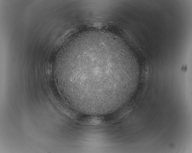X0000113630656200910021853