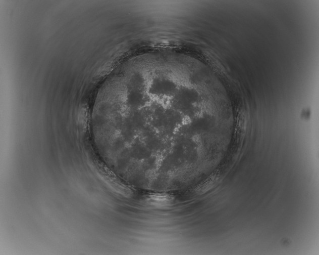 X0000113630659200910021853