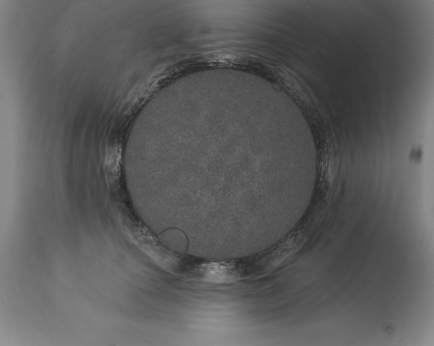 X0000113630660200910021853