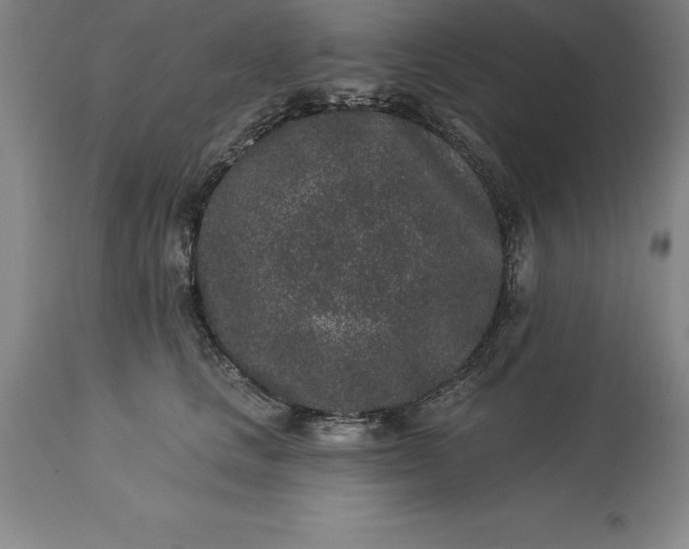 X0000113630661200910021853