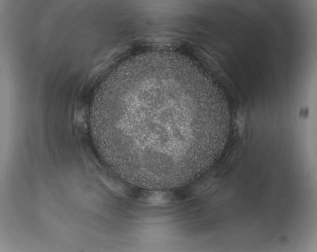 X0000113630663200910021853