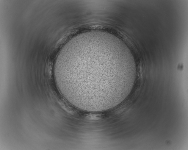 X0000113630664200910021853