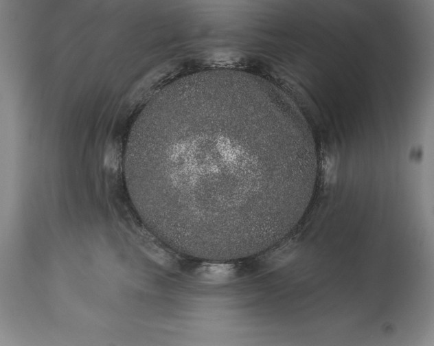 X0000113630665200910021853