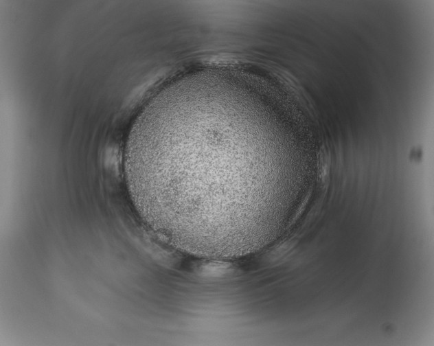 X0000113630669200910021853