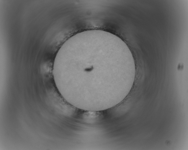 X0000113630672200910021853