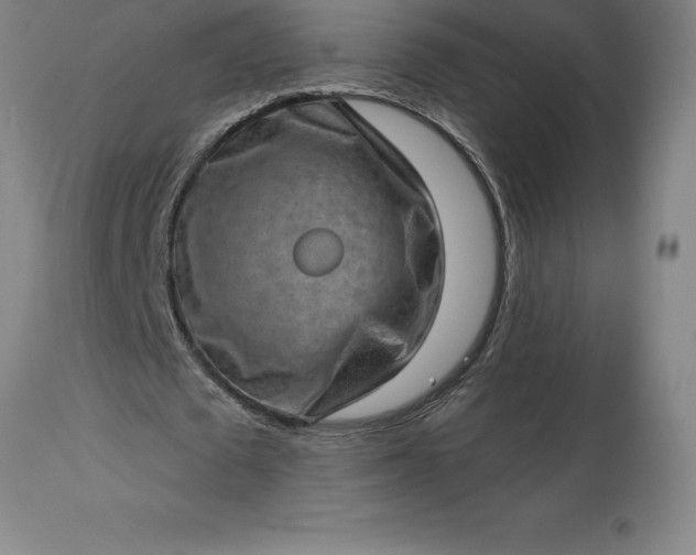 X0000113630673200910021852