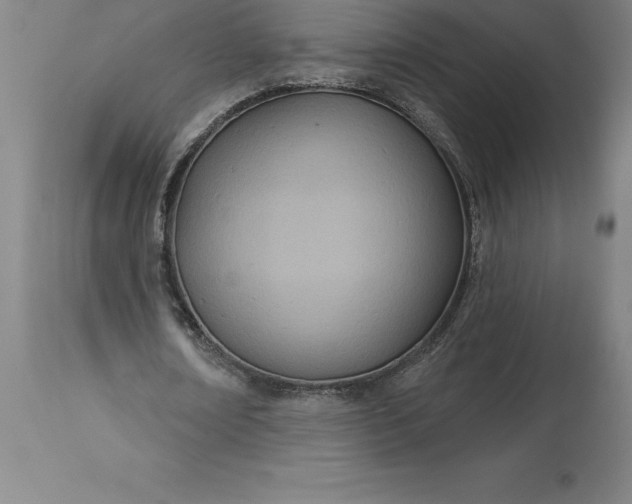 X0000113630674200910021852