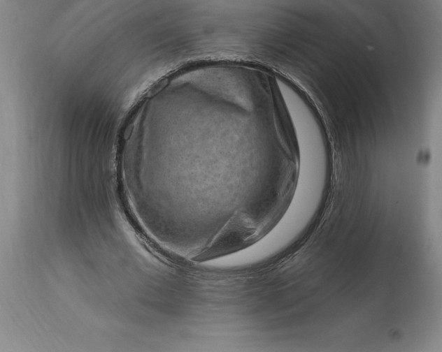 X0000113630677200910021852