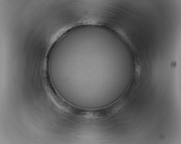 X0000113630678200910021852