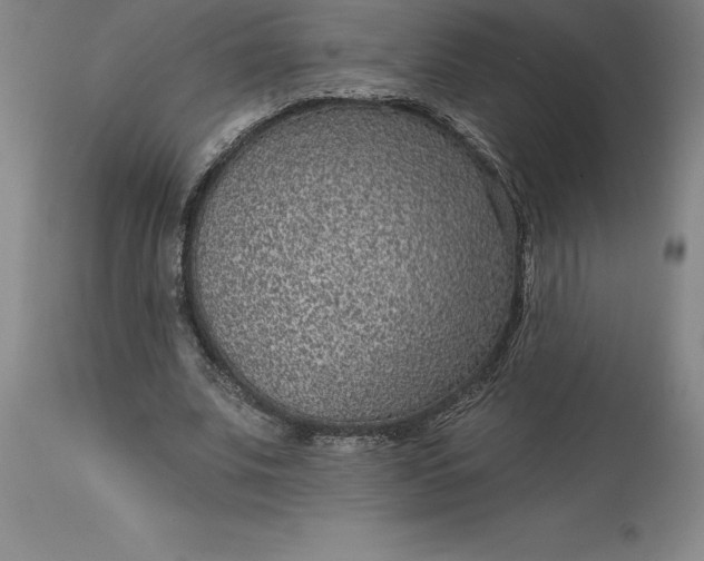 X0000113630679200910021852