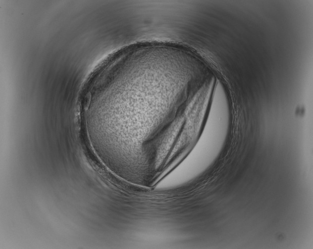 X0000113630680200910021852