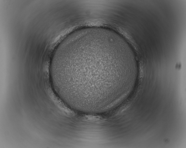 X0000113630681200910021852