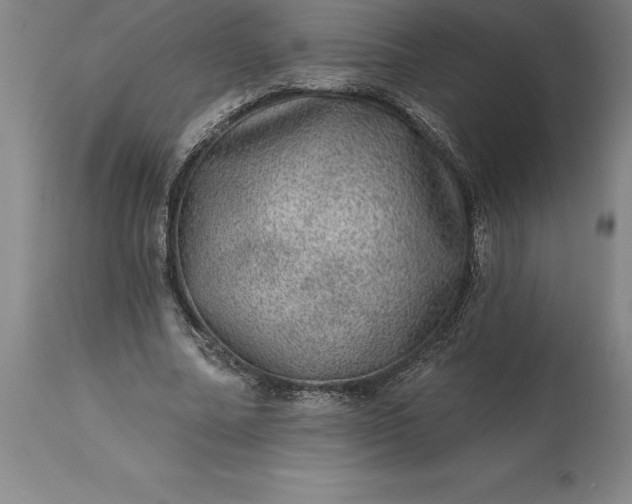 X0000113630682200910021852