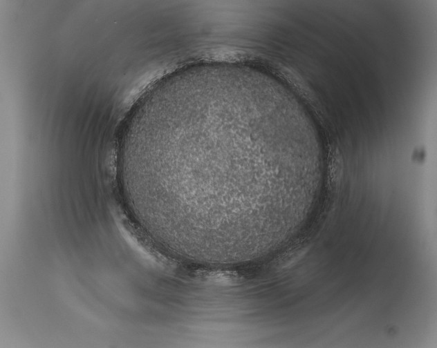 X0000113630683200910021852