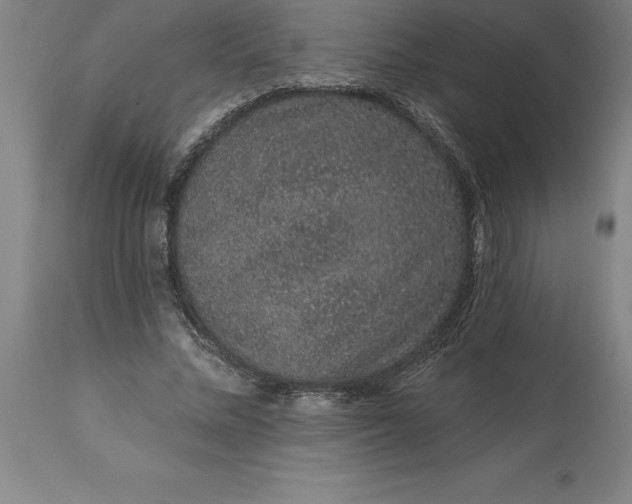 X0000113630684200910021852