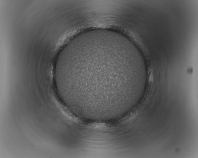 X0000113630685200910021852