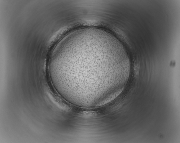 X0000113630686200910021852