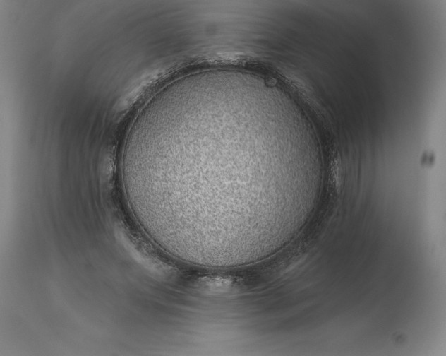 X0000113630687200910021852