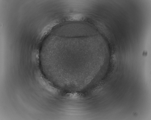 X0000113630688200910021852