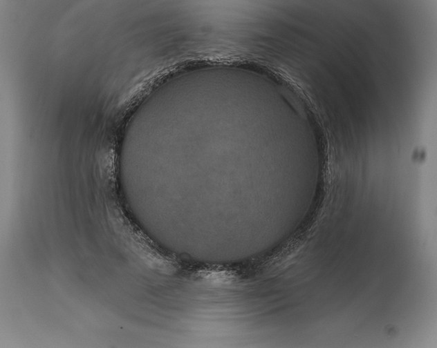 X0000113630689200910021852