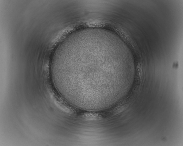 X0000113630690200910021852