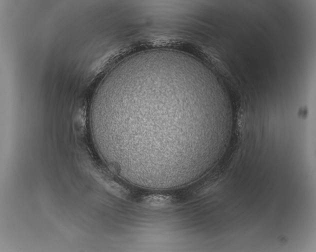 X0000113630691200910021852