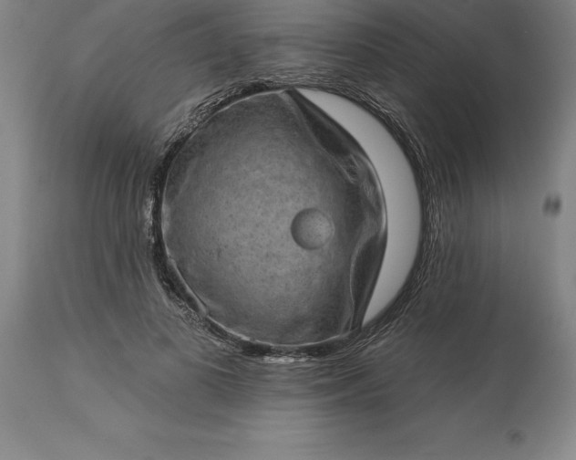 X0000113630693200910021852