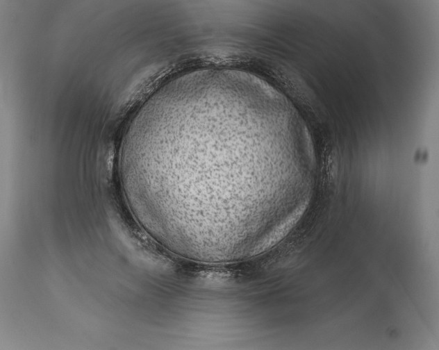 X0000113630694200910021852