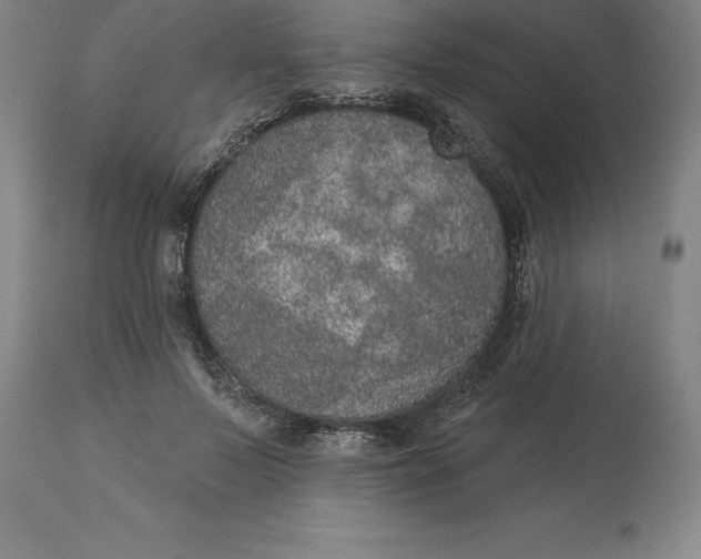 X0000113630695200910021852