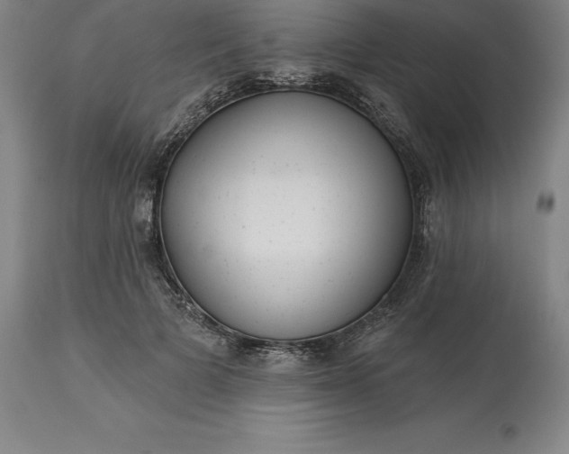 X0000113630697200910021852
