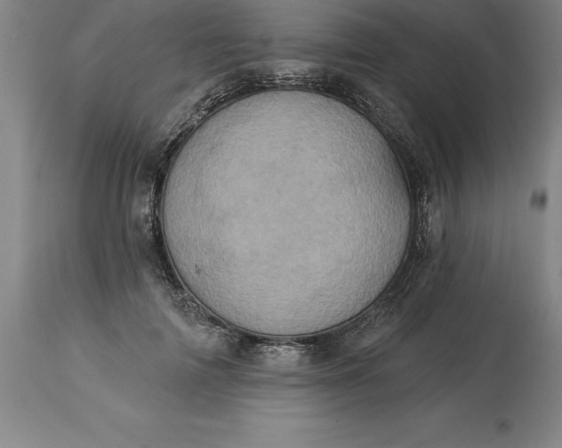 X0000113630698200910021852