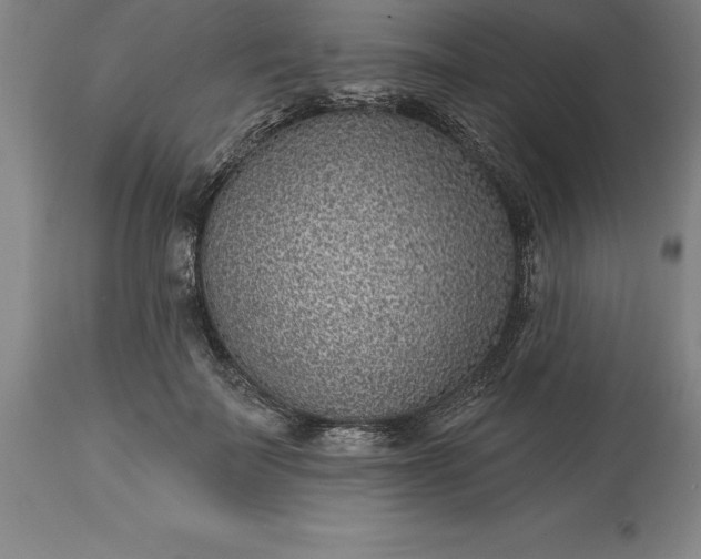 X0000113630699200910021852