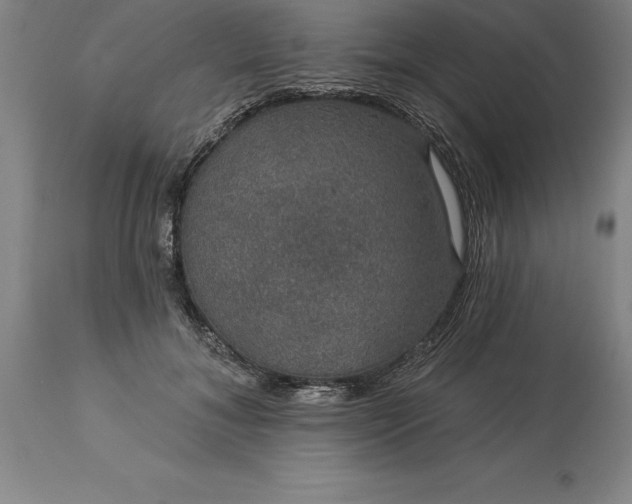X0000113630700200910021852