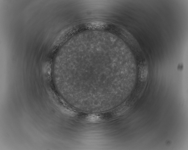 X0000113630701200910021852