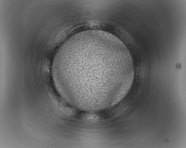 X0000113630702200910021852