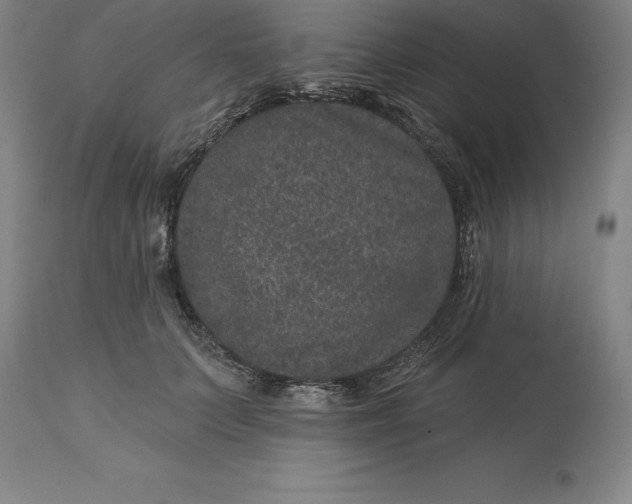 X0000113630703200910021852